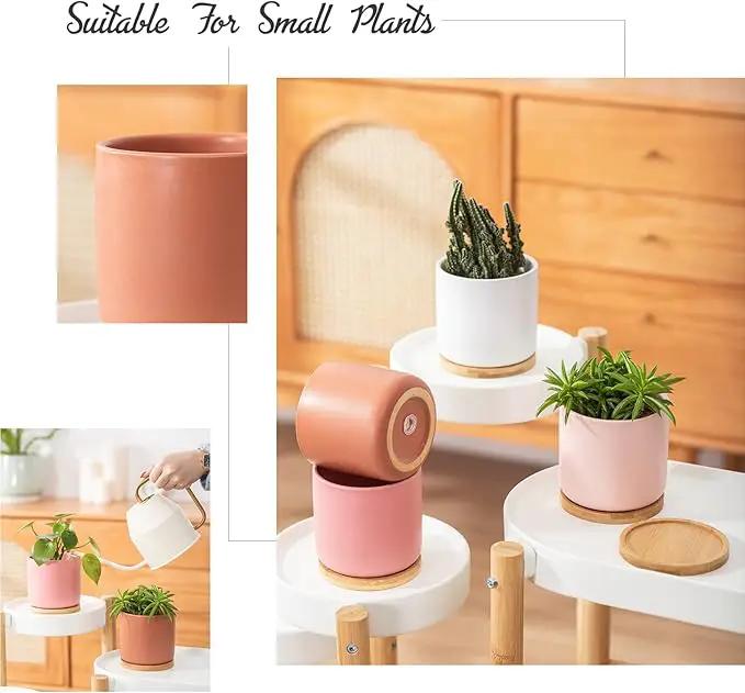 OMAYKEY 4 Inch Ceramic Plant Pot with Saucer, Multicolor Planters Pots with Drainage Hole and Mesh Pads for Succulent, Indoor Flowers, Snake Plants, Cactus, Herbs, Set of 4 (Plant Not Included) by GreenHaven Gardens