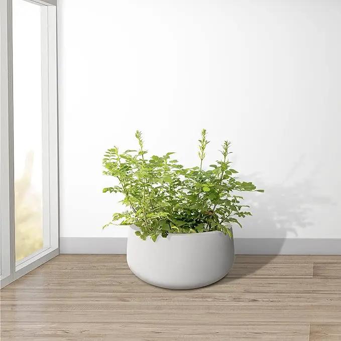 Kante 19.6" Dia Round Concrete Planter, Outdoor Indoor Garden Plant Pots with Drainage Hole and Rubber Plug, Modern Curvaceous Design, Pure White by GreenHaven Gardens