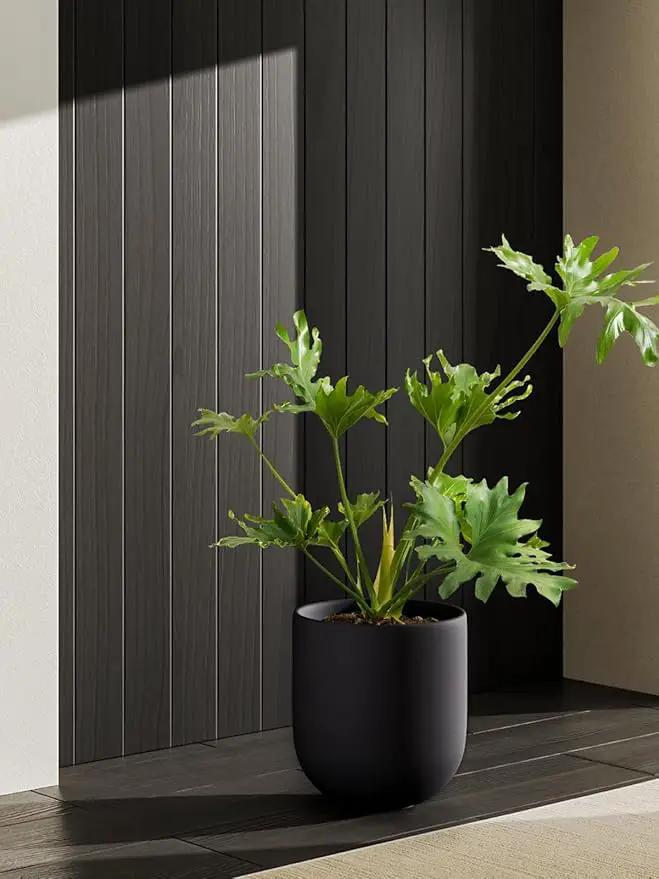 LE TAUCI 10 Inch Plant Pot, Ceramic Pots for Plants with Drainage Hole and Rubber Plug, Plant Pots Indoor for Home Garden Patio Office, Cylinder Planters for Indoor Plants, Charcoal Gray by GreenHaven Gardens