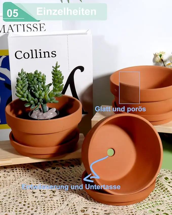 vensovo 5.7 Inch Terracotta Shallow Succulent Pot - 6 Pack Terra Cotta Clay Pots with Saucer, Cacuts Terra-Cotta Indoor and Outdoor Planters with Drainage Hole by GreenHaven Gardens