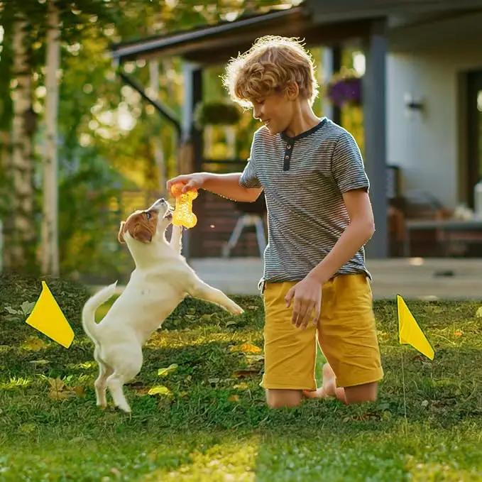 Zozen 50Pack Yellow Marking Flags, Writable/15x4x5 Inch, Yard Flags for Lawn & Irrigation & Landscape & Sprinkler & Survey & Dog Training. by GreenHaven Gardens