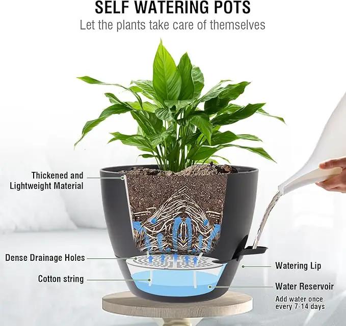 10 inch Self Watering Hanging Planters, 2 Pack Hanging Baskets for Indoor Outdoor Plants, Hanging Flower Pots with Drainage Holes & 2 Kinds of Plant Hangers for Garden Home Decor, Black by GreenHaven Gardens