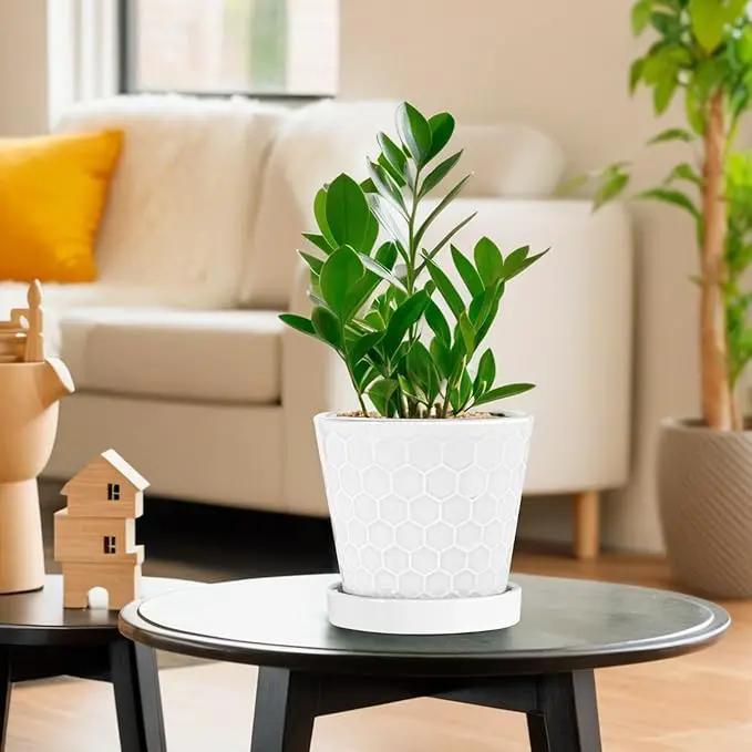 BUYMAX Plant Pots Indoor –6 inch Ceramic Flower Pot with Drainage Hole and Ceramic Tray - Gardening Home Desktop Office Windowsill Decoration Gift, Set of 2(White) by GreenHaven Gardens