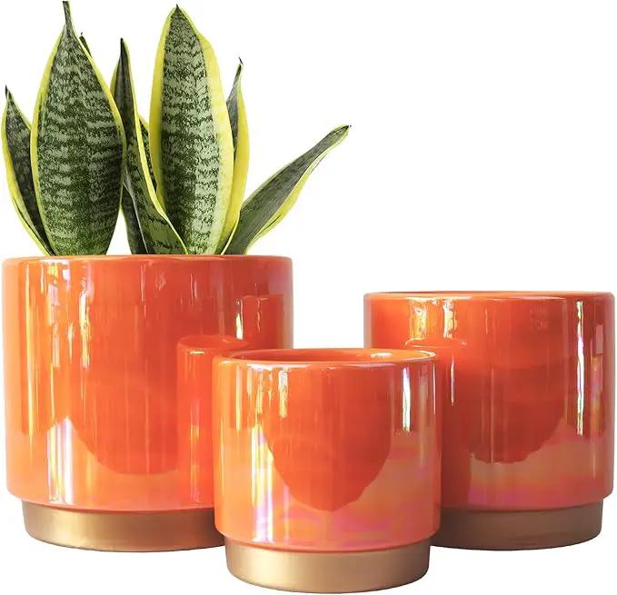 Gepege Indoor Pots for Plants, Ceramic Planter with Drainage Hole, 9.6inch+7.6Inch+6Inch. Succulent Orchid Flower Pot - Rainbow Pearl Glaze by GreenHaven Gardens