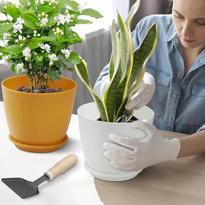 Plant Pots – 6 Inch Planters with Drainage Holes and Saucers, Flower Pots for Indoor and Outdoor Plants, Nursery Planting Pots (Pack of 5, Multicolor) by GreenHaven Gardens