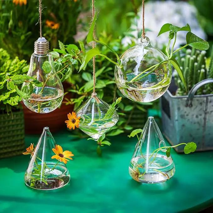 Glasseam Hanging Planters Glass Terrarium: 5Pcs Modern Plant Propagation Stations Hydroponic Wall Vases for Air Plants Flowers Indoor Window Home Decor by GreenHaven Gardens