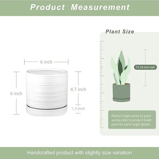 6 Inch Plant Pots, Ceramic Planter Pot with Drainage Hole & Saucer, Indoor/Outdoor Cylinder Round Planter Pot, Matte White by GreenHaven Gardens