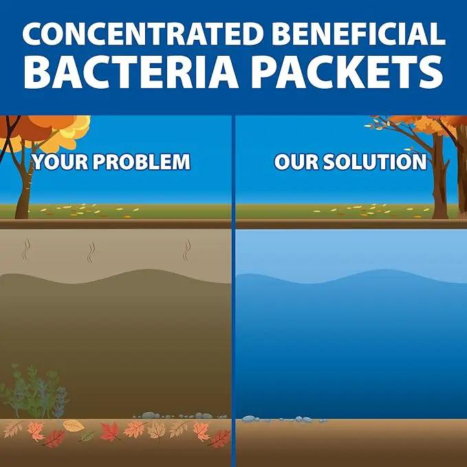 The Pond Guy Seasonal Defense, Spring & Fall Beneficial Bacteria, Barley & Enzymes, Cold Water Pond Sludge & Scum Treatment, Fish & Plant Safe, 6 Packets by GreenHaven Gardens