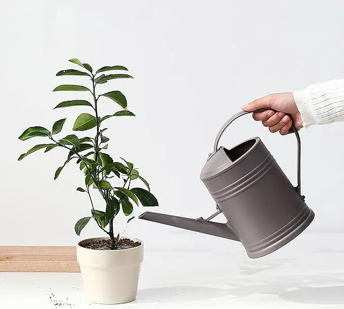 Plastic Indoor Watering Can with Sprinkler Head - 68 oz by GreenHaven Gardens