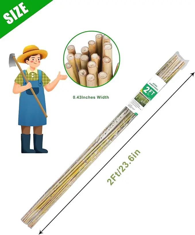 2ft Natural Bamboo Plant Stakes for Tomatoes, Beans, Flowers, Potted, Climbing Plants 25pcs by GreenHaven Gardens