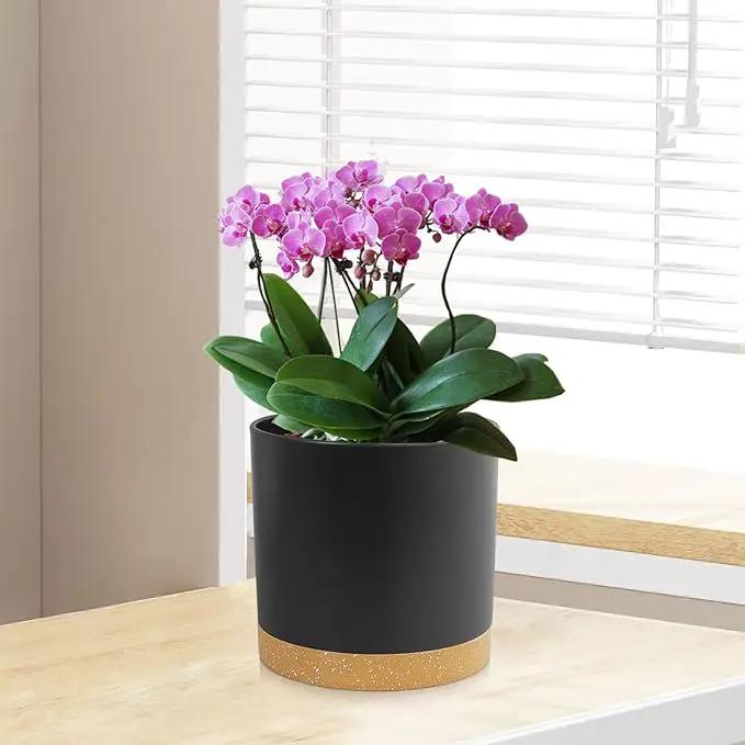 3 Pack 6/5/4 inch Cylindrical Flower Pots, Modern Small Round Plastic Plant Pots with Drainage Holes & Saucers, Clean and Refined Planter Pots for Outdoor, Indoor & Office Decor (Black Brown) by GreenHaven Gardens