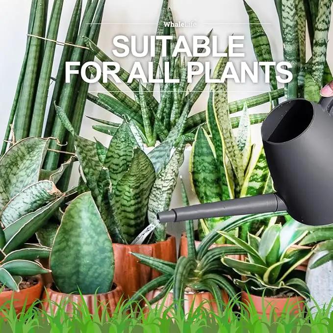 WhaleLife Indoor Watering Can for House Bonsai Plants (2.0L, Gray) by GreenHaven Gardens