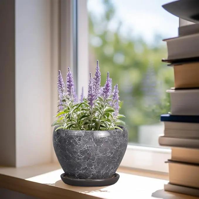 Ceramic Planter - 6 Inch Plant Pot with Drainage Hole and Saucer, Succulent Pot Glaze Round Flower Pot for Indoor Outdoor Plants, Gray by GreenHaven Gardens