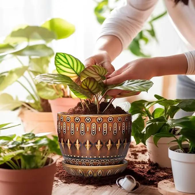 G EPGardening 5.5 Inch Plant Pot - Ceramic Planter for Indoor Outdoor Plants, Boho Round Indoor Flower Pot with Drainage Hole and Saucer, Housewarming Gifts, Garden Home Room Decor, Brown by GreenHaven Gardens