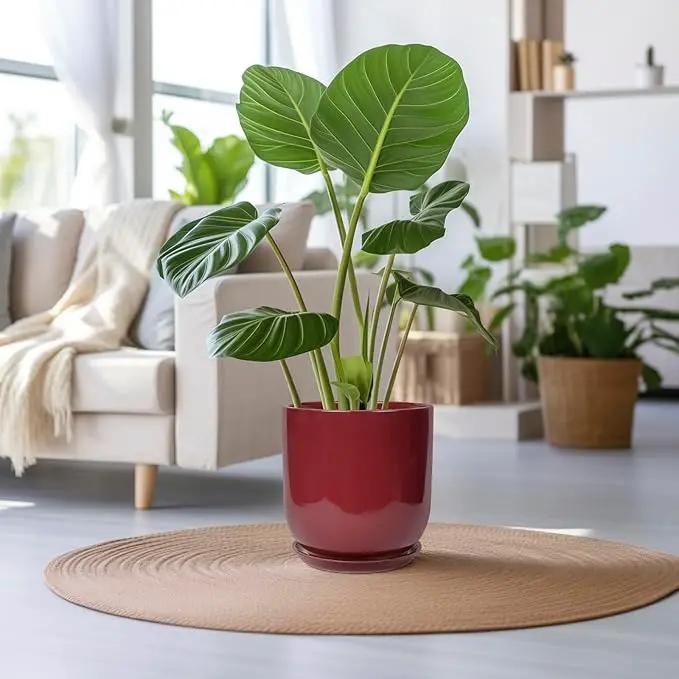 Ceramic Pots for Plants - 12 Inch Plant Pot Indoor with Drainage Hole and Saucer Large Planter Outdoor Flower Pot for Home Patio Office Decor Red by GreenHaven Gardens