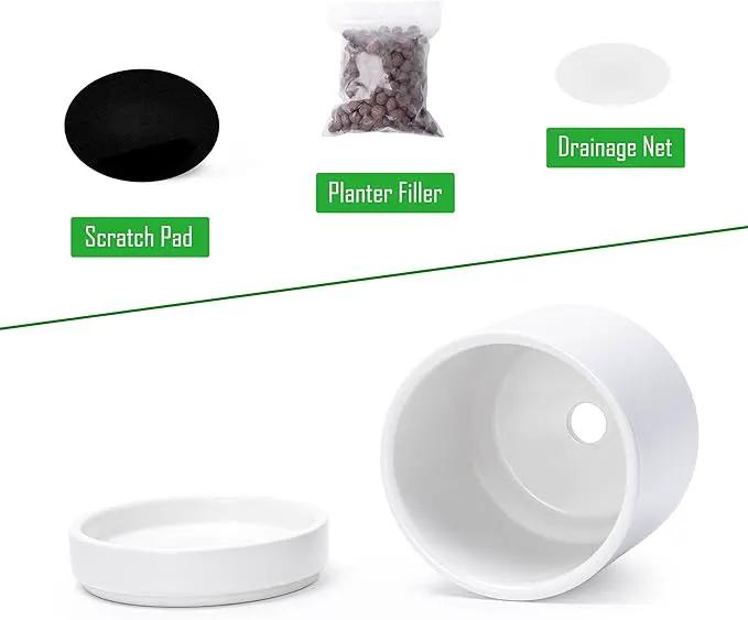 D'vine Dev Set of 4 Small Ceramic Plant Pots, 3.5 Inch Succulent Planter Pot for Plants with Drainage Hole and Saucer, White, 94-X-A-1 by GreenHaven Gardens