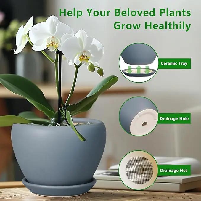 Ceramic Pot for Plants - 6 Inch Plant Pot Indoor with Drainage Hole and Saucer Decorative Planter for Outdoor Plants Modern Succulent Pot Round Flower Pot Gray by GreenHaven Gardens