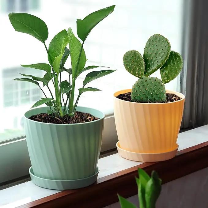 6 Inch Plant Pots Bulk, 6 Pack Plastic Planters with Drainage Holes and Saucers for Indoor Outdoor House Plants and Flowers, Colorful by GreenHaven Gardens