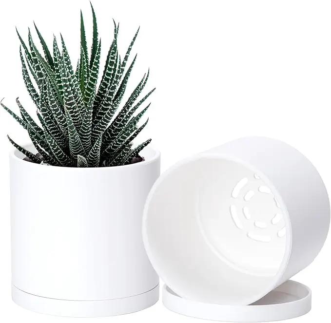 D'vine Dev 2 Pack 4.5 Inch Modern Plastic Plant Pots, Small Garden Planters for Plant with Drainage Holes and Saucers, White Color, 74-Z-F-1 by GreenHaven Gardens