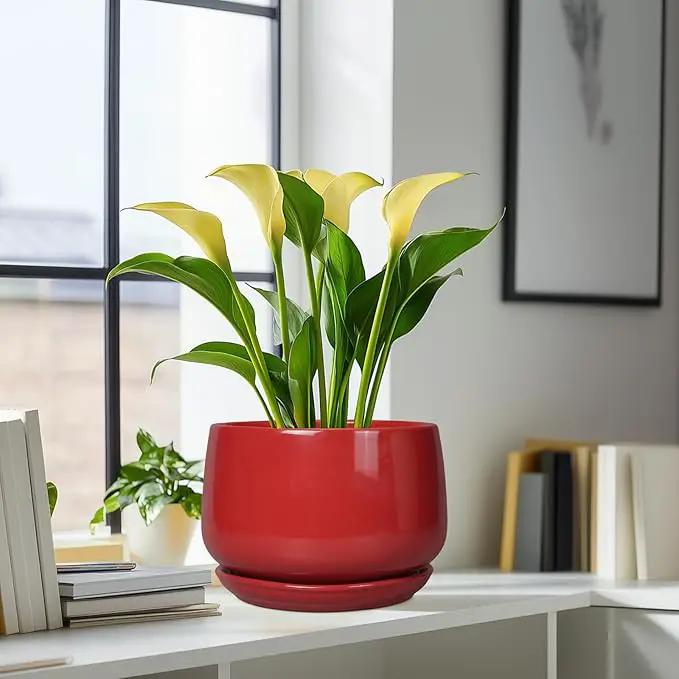 G EPGardening Ceramic Plant Pots - 9 Inch Flower pots for Indoor Outdoor Plant, Round Planter with Drainage and Saucer, Modern Home Decor, Gift for Women Men, Red by GreenHaven Gardens