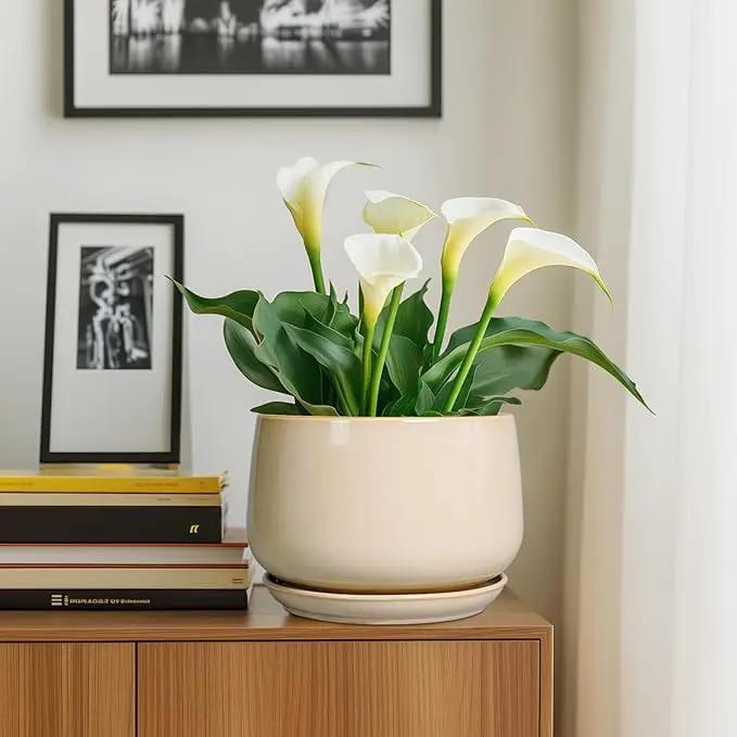 G EPGardening Ceramic Plant Pots - 9 Inch Round Planter, Ceramic Flower Pots with Drainage and Saucer, Modern Indoor Outdoor Planter, Room Decor, Home Gifts, Beige by GreenHaven Gardens