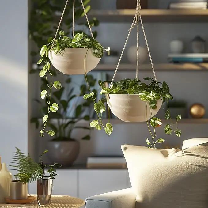 La Jolie Maison 10 Inch Hanging Planters for Indoor Plants, Outdoor Garden Planter Pots with Self-Watering Tray, Oatmeal, Set of 2 by GreenHaven Gardens
