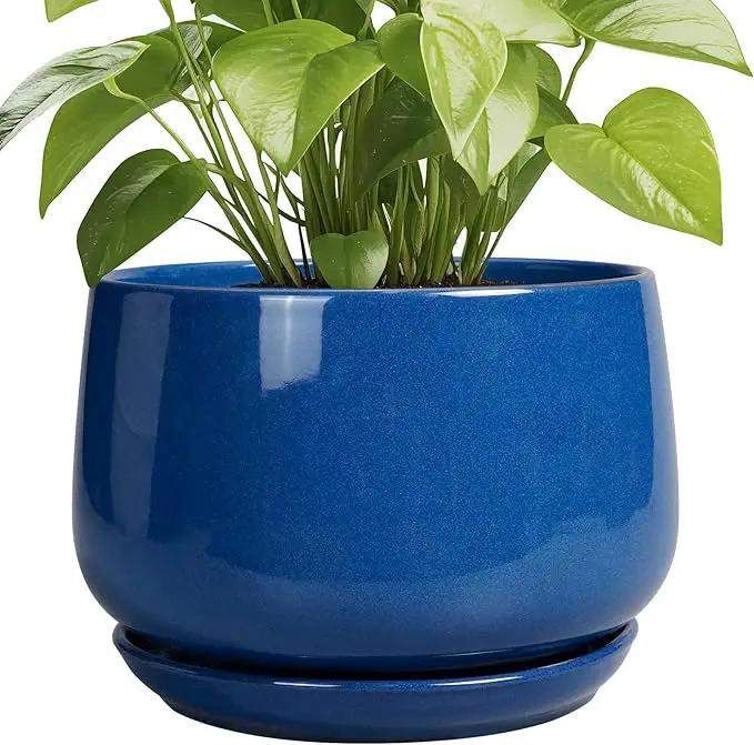 G EPGardening Ceramic Pots for Plants, 9 Inch Modern Round Planter with Drainage and Tray Indoor Outdoor for Flower, Patio Decor, Housewarming Gifts, Blue by GreenHaven Gardens