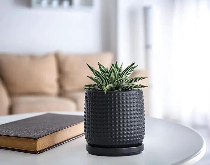 D'vine Dev 4 Inch Ceramic Beaded Stoneware Planter Pot - Flower Pot with Drainage Holes and Saucers for Indoor Succulent Plants or Flowers, Ebony Matte, 27-C-Z-6 by GreenHaven Gardens