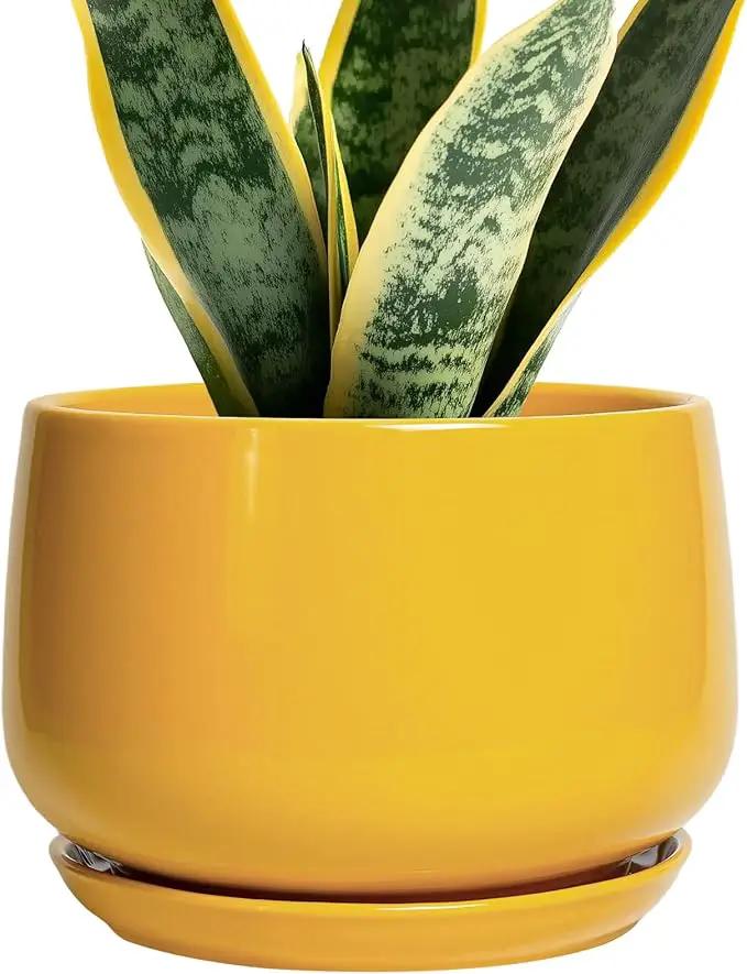 G EPGardening Ceramic Pots for Plants - 7 Inch Plant Pot with Drainage Hole and Saucer, Modern Ceramic Planter for Indoor Outdoor, Round Flower Planter, Gifts for Plants Lovers, Home Decor, Yellow by GreenHaven Gardens