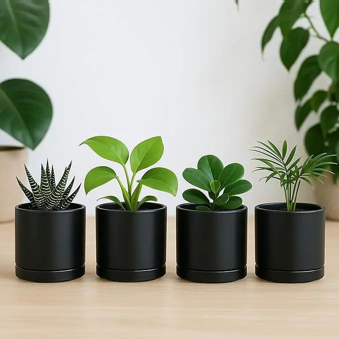 D'vine Dev Set of 4 Small Ceramic Plant Pots, 3.5 Inch Succulent Planter Pot for Plants with Drainage Hole and Saucer, Black, 94-X-A-2 by GreenHaven Gardens
