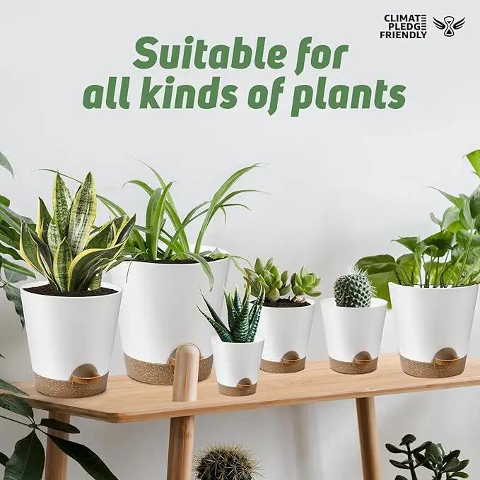 Indoor Self Watering Planters with Drainage Holes and Saucers, 8, 7, 6.5, 6, 5.5, 5 Inches, White, 6 Pots by GreenHaven Gardens