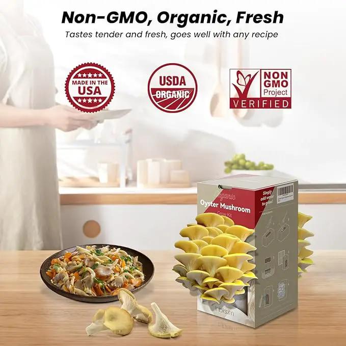 inbloom Large Organic Golden Oyster Mushroom Growing Kit (4 lbs), Double-Side Yellow Mushroom Grow Kit, MD USA Non-GMO Mushroom Kit, Harvest Mushrooms in 10 Days at Home, Indoor Gardening for Adults by GreenHaven Gardens