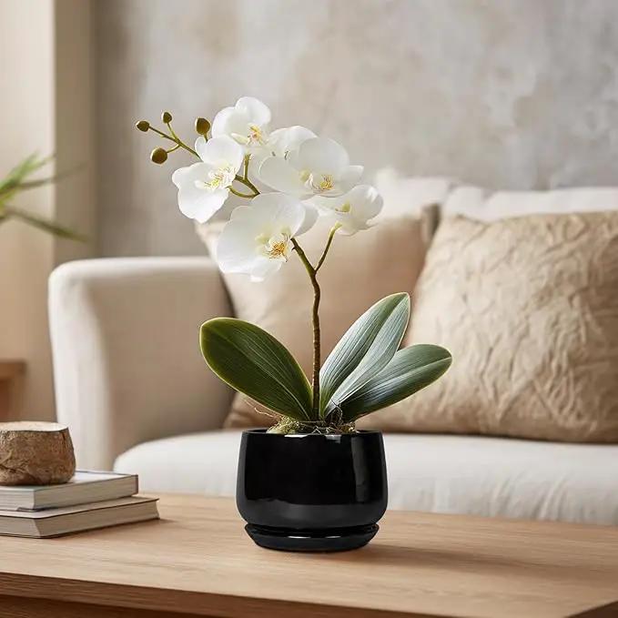 G EPGardening Small Ceramic Planter - 4 Inch Succulent Pots with Drainage Hole & Sacuer, Flower Pots for Indoor Outdoor Plants, Modern Decorative Round Planter, Room Decor, House Warming Gifts, Black by GreenHaven Gardens