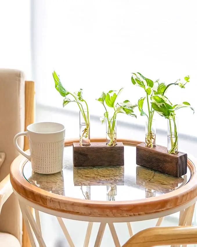 Ivolador Plant Propagation Stations 4 Test Tube Plants Terrariums in Wooden Stand Gifts for Plant Lovers for Hydroponic Plants Office Home Decor Hydroponic Vase Gift Box 2 Sets by GreenHaven Gardens