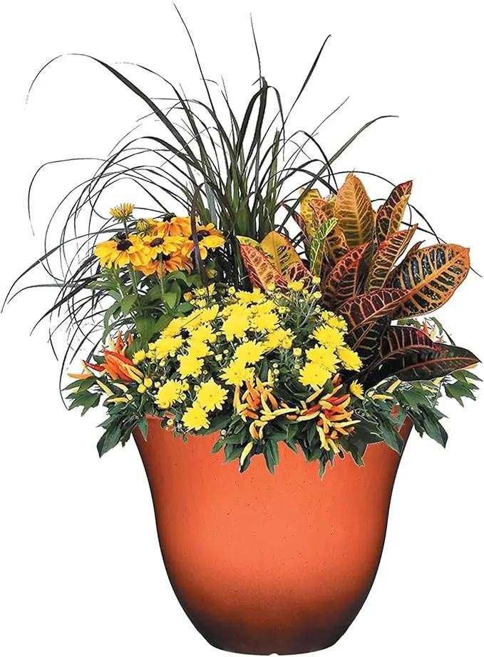 Classic Home and Garden Honeysuckle Resin Flower Pot Planter, Orange Ember, 15" by GreenHaven Gardens
