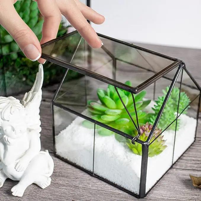 Ferrisland Glass Plant Terrarium Container Wardian Case Indoor Small Succulent Terrarium Planter w/Door for Tabletop Decor DIY - 5.0"x4.3"x4.3" by GreenHaven Gardens
