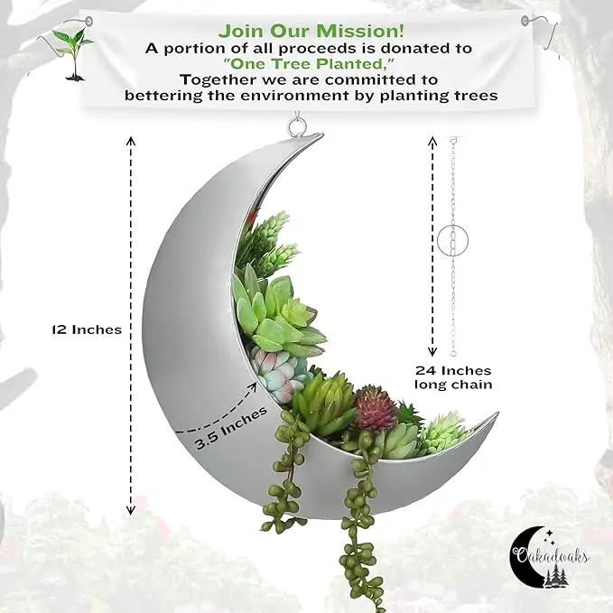 Hanging Moon Planter for Moon Room Decor - Great for Succulents, Air Plant, Mini Cactus, Faux, Artificial Plants-Boho Hanging Planters for Indoor Plants, Witchy Gifts for Women, Birthdays,Plant Lovers by GreenHaven Gardens