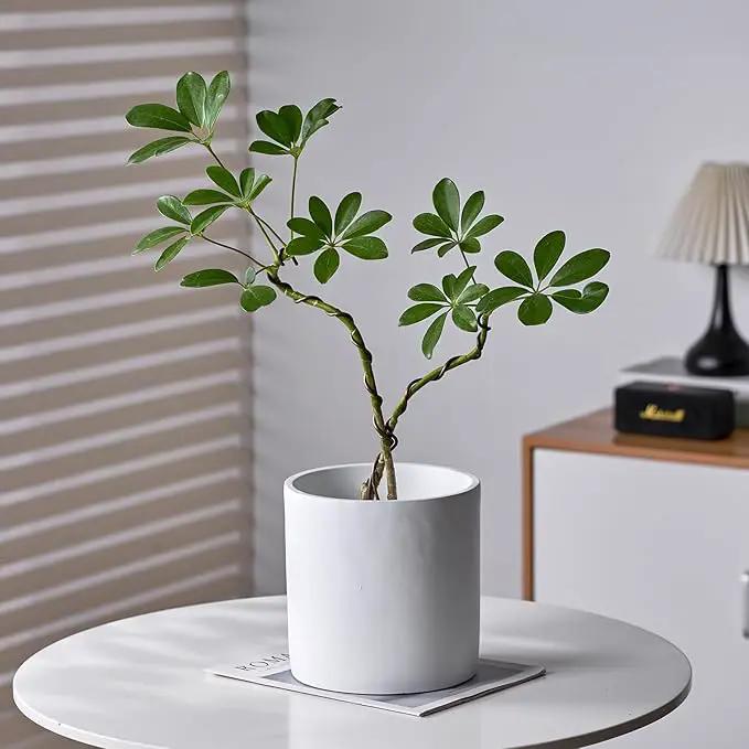 8 Inch Pot for Plants, Large Cement Planter with Drainage Hole, Mid-Century Modern Concrete Flower Pots for Home Decor, Office & Outdoor (White) by GreenHaven Gardens
