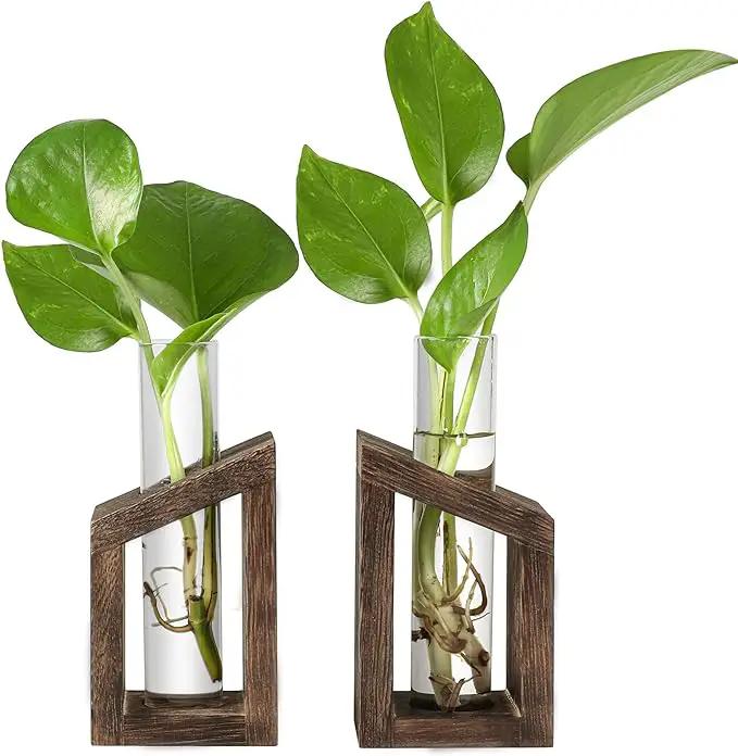 Ivolador Test Tube Propagation Stations Pothos Planter Terrarium Container Perfect for Propagating Hydroponic Plants Home Office Garden Decor Wedding -2 PCS by GreenHaven Gardens