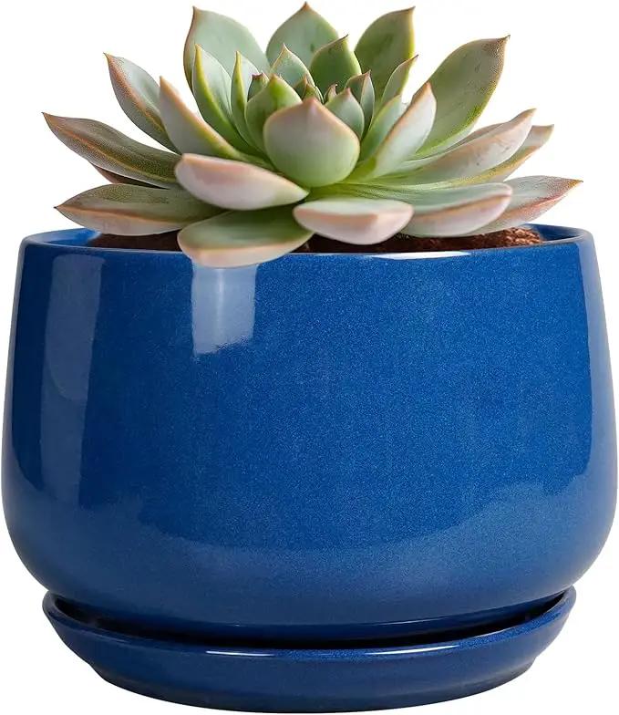 G EPGardening 6 Inch Plant Pot - Round Ceramic Planter Indoor with Drainage and Ceramic Saucer for Flower, Modern Desk Decor, Modern Garden Gift, Blue by GreenHaven Gardens