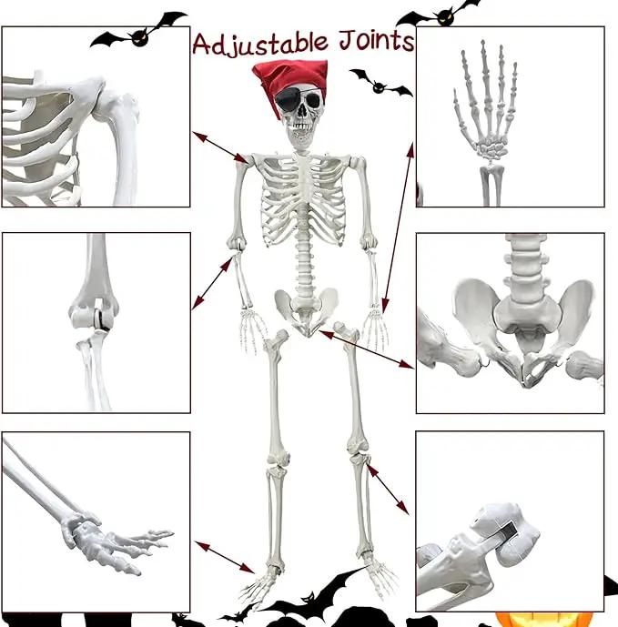 5.4Ft Halloween Skeleton - Life Size Full Body Realistic Human Bones with Posable Joints for Halloween Pose Skeleton Prop Decoration by GreenHaven Gardens