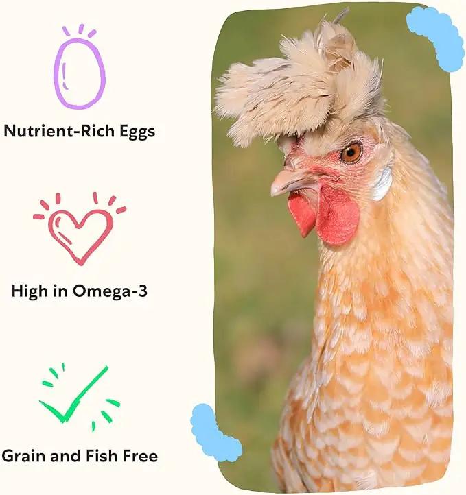 Grubbly Farms Omega Mix Chicken Treats for Laying Hens - Superfood and Omega-Rich Chicken Feed Supplement to Support Egg Production, Strong Eggshells and Nutritious Yolks - 1LB by GreenHaven Gardens