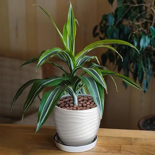 5LB Leca Clay Pebbles for Plants, Expanded Leca Balls for Indoor Plants, Orchid Potting Mix, Soil Amendment, Drainage, Easy Reusability, 4-16mm by GreenHaven Gardens