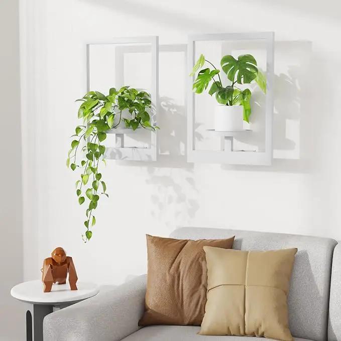 Picture Frame Wall Plant Holder, Metal Window Plant Shelves Plant Holder for Indoor Plants, Hanging Wall Planters Wall-Mounted Plant for Home, Office, and Garden (White, 2PCS) by GreenHaven Gardens