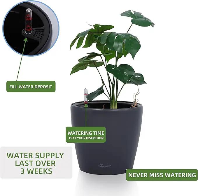 Dexceder 9x8 Inches Self Watering Planter Indoor Outdoor, Inner Pot Design, Thickened Table Flower Plant Pot with Water Level Indicator (Slate Gray Matte) by GreenHaven Gardens