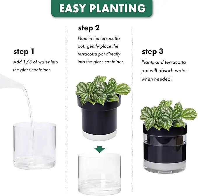 Phoenix Vine 6 Inch 4 Inch Self Watering Terracotta Planter, Black Terracotta Clay Pot with Glass Reservoir for Indoor Plants, Herbs, Flowers, 52-C-G-46 by GreenHaven Gardens