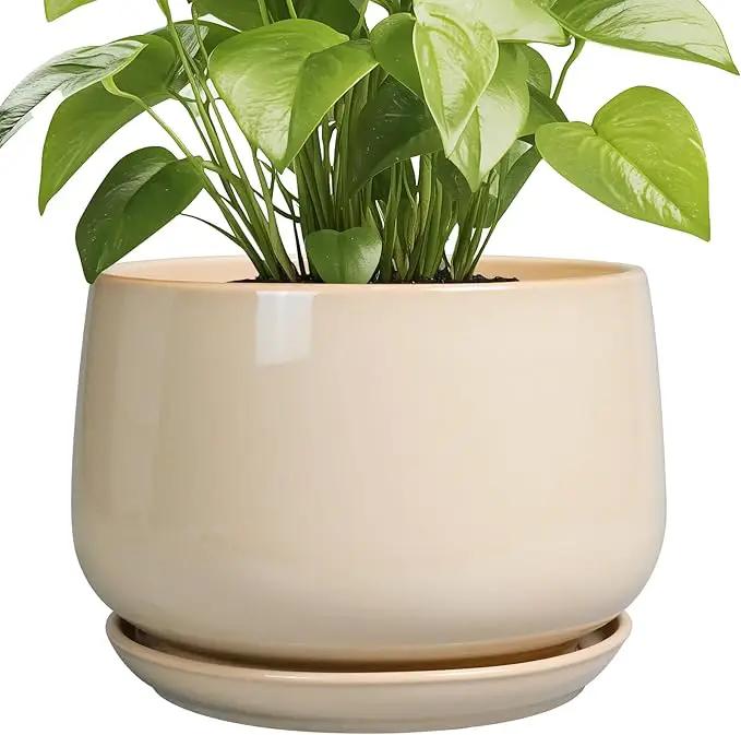 G EPGardening Ceramic Plant Pots - 9 Inch Round Planter, Ceramic Flower Pots with Drainage and Saucer, Modern Indoor Outdoor Planter, Room Decor, Home Gifts, Beige by GreenHaven Gardens
