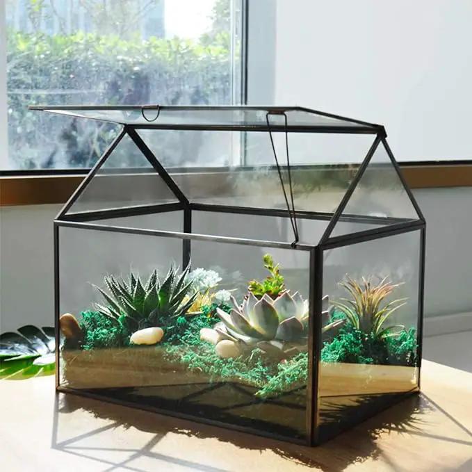 Black 1 Large Glass Plant Terrarium Kit with Lip Greenhouse for Succulents by GreenHaven Gardens