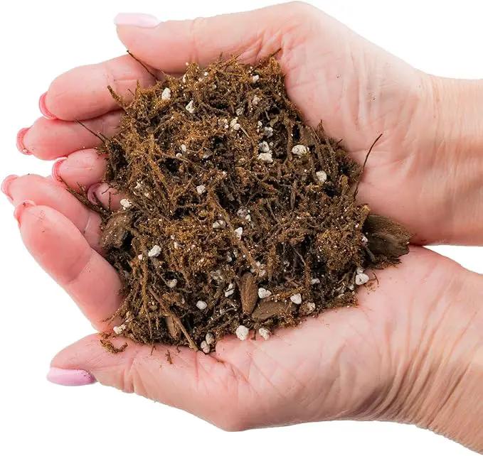 Premium Gardenera House Plant Potting Mix | Fern + New Zealand Bark + Perlite | Great for Pothos, Spider Plants, Montsera, Philodendron, English Ivy - 1 Quart Bag by GreenHaven Gardens