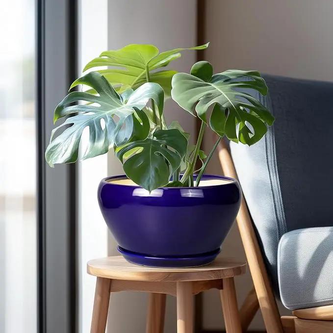 Ceramic Pot for Plants - 11 Inch Modern Round Indoor Planter with Drainage Hole and Planter Saucer for Flowers, Patio Office Home Room Decor, Gardening Gifts for Women & Men, Blue by GreenHaven Gardens